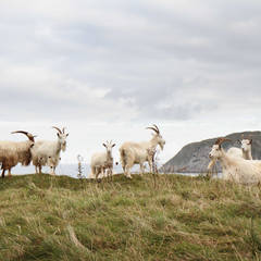 Visit winter 2012 7453