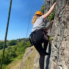 31dec400 2740 4c6e 9fa9 d1e5da7177b5